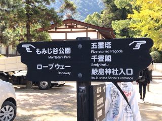 紅葉谷公園